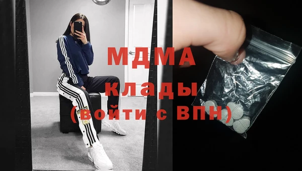 ГАЛЛЮЦИНОГЕННЫЕ ГРИБЫ Богданович