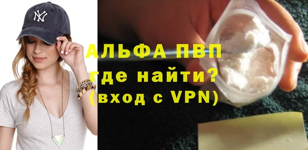 ГАЛЛЮЦИНОГЕННЫЕ ГРИБЫ Богданович