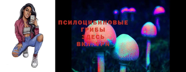 трава Богородицк