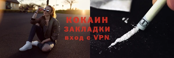 трава Богородицк