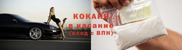 ГАЛЛЮЦИНОГЕННЫЕ ГРИБЫ Богданович