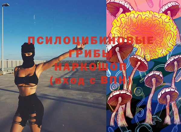 ГАЛЛЮЦИНОГЕННЫЕ ГРИБЫ Богданович