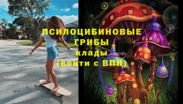 ГАЛЛЮЦИНОГЕННЫЕ ГРИБЫ Богданович