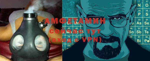 ГАЛЛЮЦИНОГЕННЫЕ ГРИБЫ Богданович