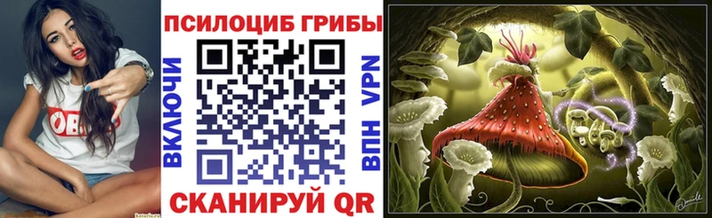 Галлюциногенные грибы мухоморы Купить где Мыски